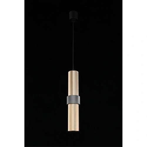 Светильник подвесной Aployt Beasia APL.614.16.01 Светильник подвесной Aployt Beasia APL.614.16.01