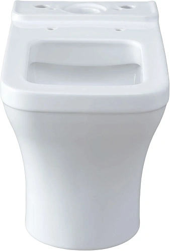 Чаша напольного унитаза Allen Brau Infinity 4.21012.20 с крышкой, белый глянец Чаша напольного унитаза Allen Brau Infinity 4.21012.20 с крышкой, белый глянец