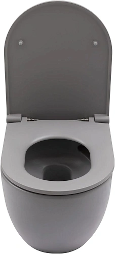Унитаз подвесной Allen Brau Reality 4.32015.SG сиденье с микролифт серый матовый Унитаз подвесной Allen Brau Reality 4.32015.SG сиденье с микролифт серый матовый