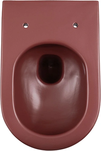 Унитаз подвесной Allen Brau Reality 4.32015.BD сиденье с микролифт бордо Унитаз подвесной Allen Brau Reality 4.32015.BD сиденье с микролифт бордо