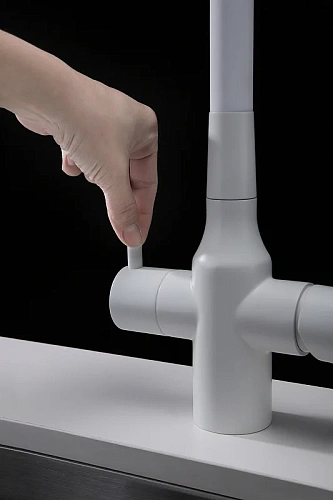 Смеситель для кухни Paulmark SALIX белый матовый Sa213419-WH Смеситель для кухни Paulmark SALIX белый матовый Sa213419-WH