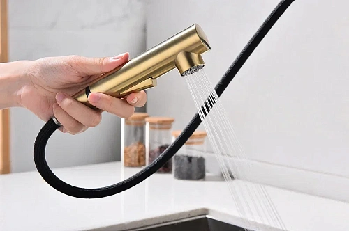 Смеситель для кухни Paulmark Neo брашированное золото Ne214419-BG Смеситель для кухни Paulmark Neo брашированное золото Ne214419-BG