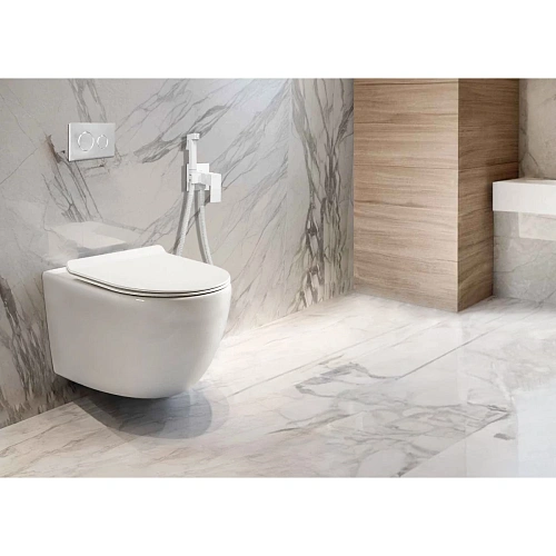 Унитаз подвесной Ceruttispa CLIO Aria CT10582 Tornado безободковый белый, сиденье микролифт Унитаз подвесной Ceruttispa CLIO Aria CT10582 Tornado безободковый белый, сиденье микролифт