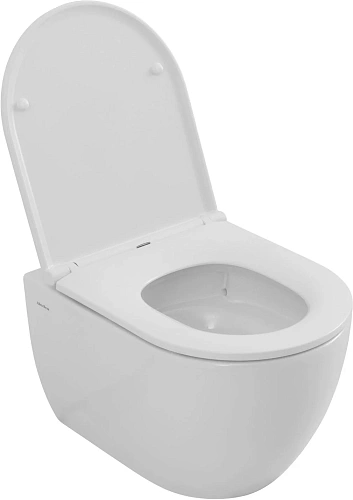 Унитаз подвесной Allen Brau Priority Tornado 4.31009.20 без сиденья белый глянец Унитаз подвесной Allen Brau Priority Tornado 4.31009.20 без сиденья белый глянец