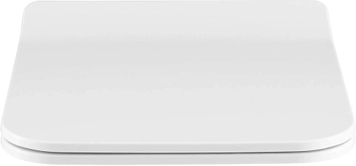 Крышка-сиденье Allen Brau Liberty 4.33008.21 белый матовый Крышка-сиденье Allen Brau Liberty 4.33008.21 белый матовый