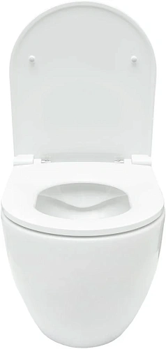 Комплект унитаза Allen Brau Reality 4.32006.20/8.9466.0.000.000.1 (00316510) с инсталляцией, белый глянец Комплект унитаза Allen Brau Reality 4.32006.20/8.9466.0.000.000.1 (00316510) с инсталляцией, белый глянец