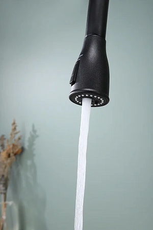 Смеситель для кухни Paulmark LANGE черный La214212-BLM Смеситель для кухни Paulmark LANGE черный La214212-BLM