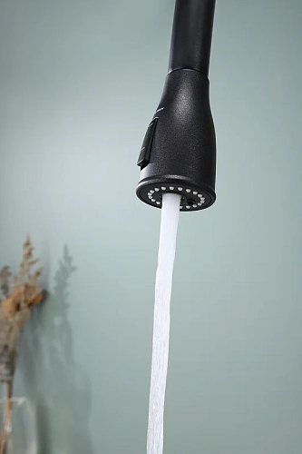 Смеситель для кухни Paulmark LANGE черный La214212-BLM Смеситель для кухни Paulmark LANGE черный La214212-BLM