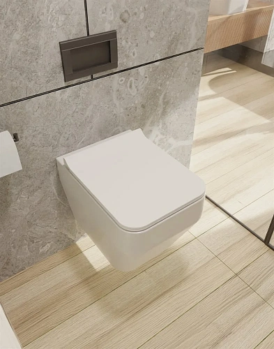 Унитаз подвесной AQUAme AQM2009 с сиденьем SoftClose, технология смыва Rimless, скрытый крепеж 525х3 Унитаз подвесной AQUAme AQM2009 с сиденьем SoftClose, технология смыва Rimless, скрытый крепеж 525х3