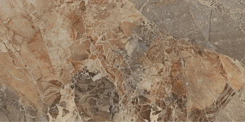 Керамогранит Neodom Splendida Moscaretto Brown 60x120 CV20183 Керамогранит Neodom Splendida Moscaretto Brown 60x120 CV20183