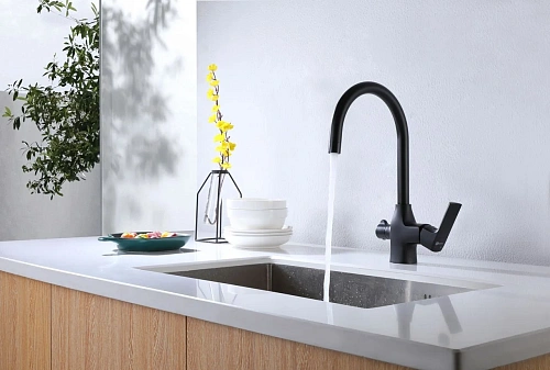 Смеситель для кухни Lemark Ursus LM7261BL с подключением к фильтру, черный Смеситель для кухни Lemark Ursus LM7261BL с подключением к фильтру, черный