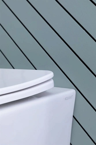 Унитаз подвесной Aquanet Rimless Cetus 2.0 W LX-1901 с сиденьем Унитаз подвесной Aquanet Rimless Cetus 2.0 W LX-1901 с сиденьем