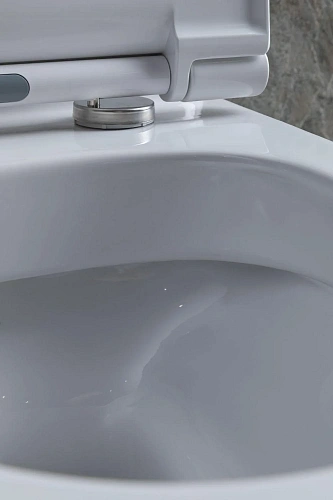 Чаша напольного унитаза Allen Brau Priority 4.31003.20 с крышкой, белый Чаша напольного унитаза Allen Brau Priority 4.31003.20 с крышкой, белый