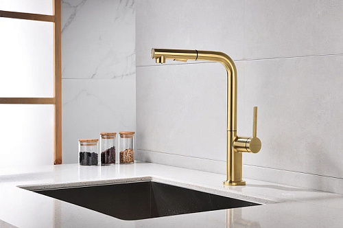 Смеситель для кухни Paulmark Neo брашированное золото Ne214419-BG Смеситель для кухни Paulmark Neo брашированное золото Ne214419-BG