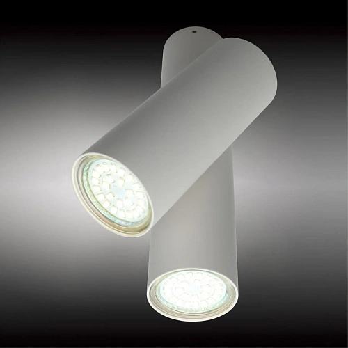 Светильник настенно-потолочный Aployt Aksel APL.006.02.02 Светильник настенно-потолочный Aployt Aksel APL.006.02.02