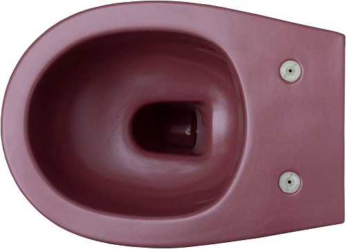 Унитаз подвесной Allen Brau Fantasy 4.11004.BD с крышкой, бордо Унитаз подвесной Allen Brau Fantasy 4.11004.BD с крышкой, бордо