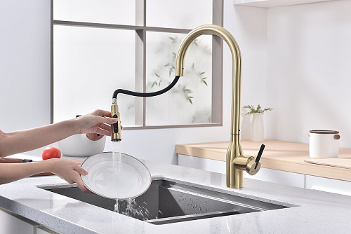 Смеситель для кухни Paulmark UNIVERSAL светлое золото Un213880-LG Смеситель для кухни Paulmark UNIVERSAL светлое золото Un213880-LG