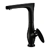 Смеситель для кухни Kaiser Star 02044-2 Смеситель для кухни Kaiser Star 02044-2