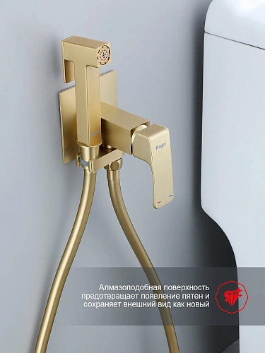 Гигиенический душ Raglo R02.54.03 встраиваемый, сатин золотой Гигиенический душ Raglo R02.54.03 встраиваемый, сатин золотой