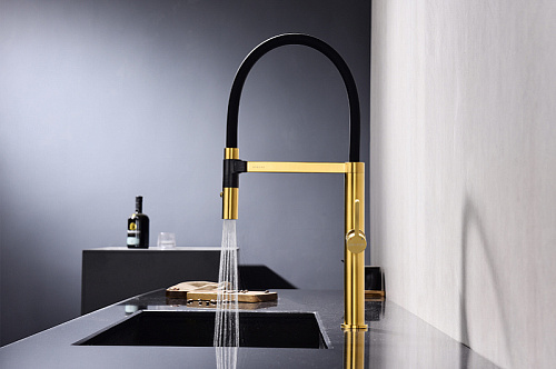 Смеситель для кухни Paulmark Leader брашированное золото Le214101-BG Смеситель для кухни Paulmark Leader брашированное золото Le214101-BG