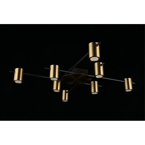 Люстра потолочная Aployt Elwisia APL.633.07.08 Люстра потолочная Aployt Elwisia APL.633.07.08