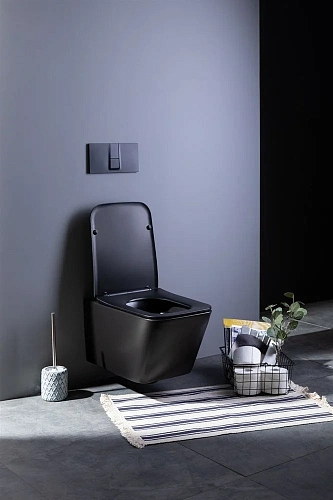 Унитаз подвесной Aquanet Rimless Tavr-W BL-103N-WHT black черный матовый TAVR-W BW с сиденьем Унитаз подвесной Aquanet Rimless Tavr-W BL-103N-WHT black черный матовый TAVR-W BW с сиденьем