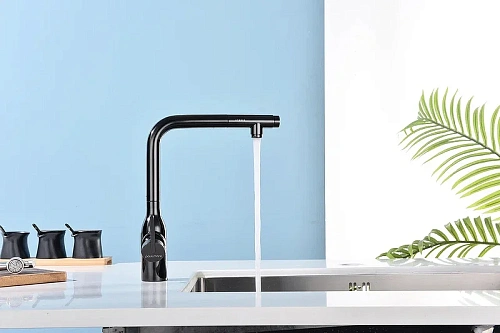 Смеситель для кухни Paulmark Viper глянцевый черный Vi213105-GB Смеситель для кухни Paulmark Viper глянцевый черный Vi213105-GB