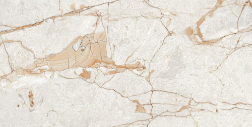 Керамогранит Neodom Ambassador Rosalia Glossy 60x120 CV20196 Керамогранит Neodom Ambassador Rosalia Glossy 60x120 CV20196