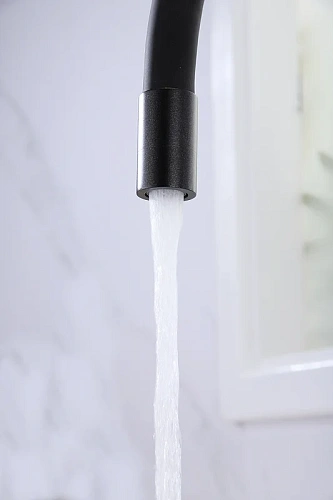 Смеситель для кухни Paulmark SALIX черный Sa213419-BLM Смеситель для кухни Paulmark SALIX черный Sa213419-BLM