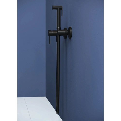 Гигиенический душ RGW Shower Panels SP-215B черный Гигиенический душ RGW Shower Panels SP-215B черный