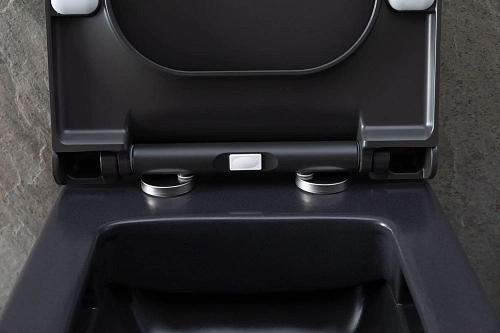 Унитаз подвесной Allen Brau Infinity 4.21011.AN с крышкой, антрацит Унитаз подвесной Allen Brau Infinity 4.21011.AN с крышкой, антрацит