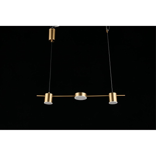 Люстра подвесная Aployt Frania APL.017.13.18 Люстра подвесная Aployt Frania APL.017.13.18