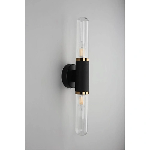 Светильник настенный (Бра) Aployt Brynia APL.307.31.02 Светильник настенный (Бра) Aployt Brynia APL.307.31.02