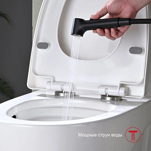 Гигиенический душ Raglo R03.51.06, черный Гигиенический душ Raglo R03.51.06, черный