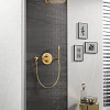 Верхний душ GROHE Rainshower с кронштейном, холодный рассвет матовый (26066GN0) Верхний душ GROHE Rainshower с кронштейном, холодный рассвет матовый (26066GN0)