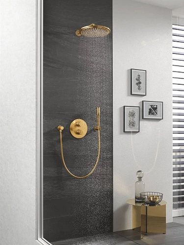 Верхний душ GROHE Rainshower с кронштейном, холодный рассвет матовый (26066GN0) Верхний душ GROHE Rainshower с кронштейном, холодный рассвет матовый (26066GN0)