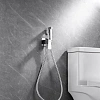 Гигиенический душ Allen Brau Infinity 5.21005-00 (с внутренней частью) хром Гигиенический душ Allen Brau Infinity 5.21005-00 (с внутренней частью) хром