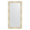 Зеркало в багетной раме Evoform Definite BY 3348 82 x 162 см, травленое серебро Зеркало в багетной раме Evoform Definite BY 3348 82 x 162 см, травленое серебро