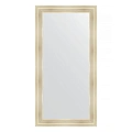 Зеркало в багетной раме Evoform Definite BY 3348 82 x 162 см, травленое серебро Зеркало в багетной раме Evoform Definite BY 3348 82 x 162 см, травленое серебро