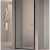 Картинка анонса товара «душевая дверь rgw dolphin tn-03b 800 мм easy clean черный 54930308-14»