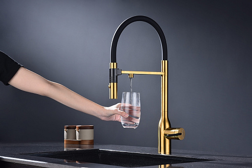 Смеситель для кухни Paulmark Magneto One брашированное золото Ma213188-BG Смеситель для кухни Paulmark Magneto One брашированное золото Ma213188-BG