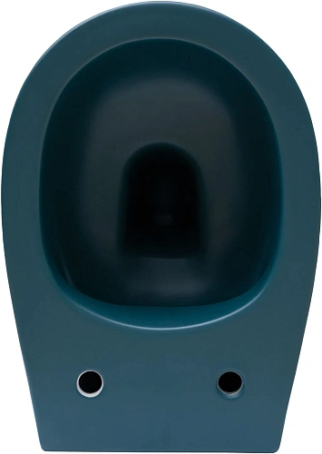 Унитаз подвесной Allen Brau Fantasy 4.11004.PT с крышкой, петроль Унитаз подвесной Allen Brau Fantasy 4.11004.PT с крышкой, петроль