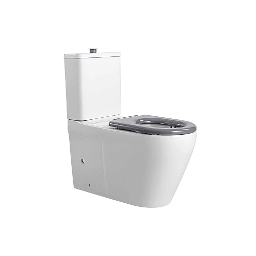 Унитаз напольный Aquatek AQ2213-00 с бачком 800x385x835 для людей с ограниченными возможностями, сиденье дюропласт Унитаз напольный Aquatek AQ2213-00 с бачком 800x385x835 для людей с ограниченными возможностями, сиденье дюропласт