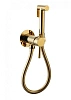 Гигиенический душ CeramaLux KRS/003 золото