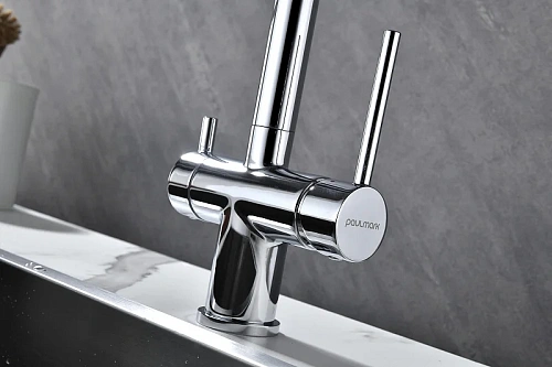 Смеситель для кухни Paulmark SERPENTINE хром Se213222-CR Смеситель для кухни Paulmark SERPENTINE хром Se213222-CR