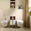 Биде подвесное Villeroy&Boch Lifetime 547500R1 Биде подвесное Villeroy&Boch Lifetime 547500R1