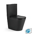 Унитаз напольный Tornado Gid Tn2189TF-BM 62270Y черный матовый 64x36x83.5 с крышкой микролифт