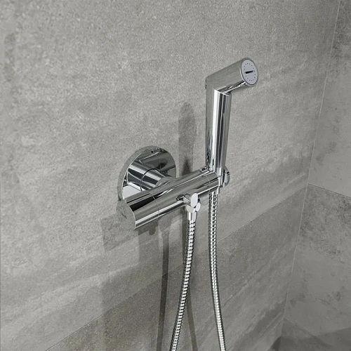 Гигиенический душ Iddis Axes (AXESBR0i08) Гигиенический душ Iddis Axes (AXESBR0i08)