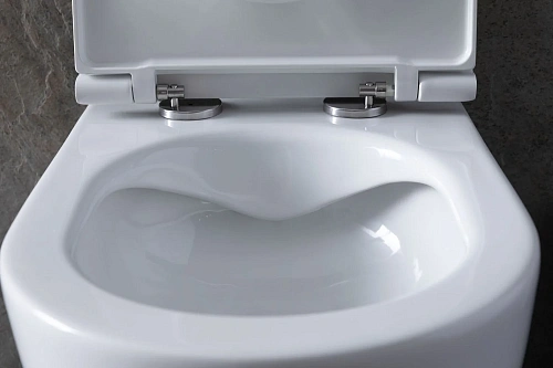 Комплект унитаза Allen Brau Reality 4.32006.20/8.9466.0.000.000.1 (00316510) с инсталляцией, белый глянец Комплект унитаза Allen Brau Reality 4.32006.20/8.9466.0.000.000.1 (00316510) с инсталляцией, белый глянец