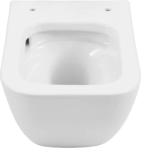 Унитаз подвесной Allen Brau Liberty 4.33012.20 с крышкой, белый Унитаз подвесной Allen Brau Liberty 4.33012.20 с крышкой, белый